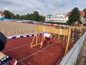 258.jpg