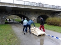 SLE_Teich_216.JPG