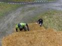 SLE_Teich_249.JPG