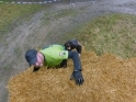 SLE_Teich_250.JPG