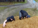 SLE_Teich_254.JPG