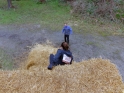SLE_Teich_264.JPG
