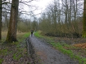 SLE_Teich_286.JPG