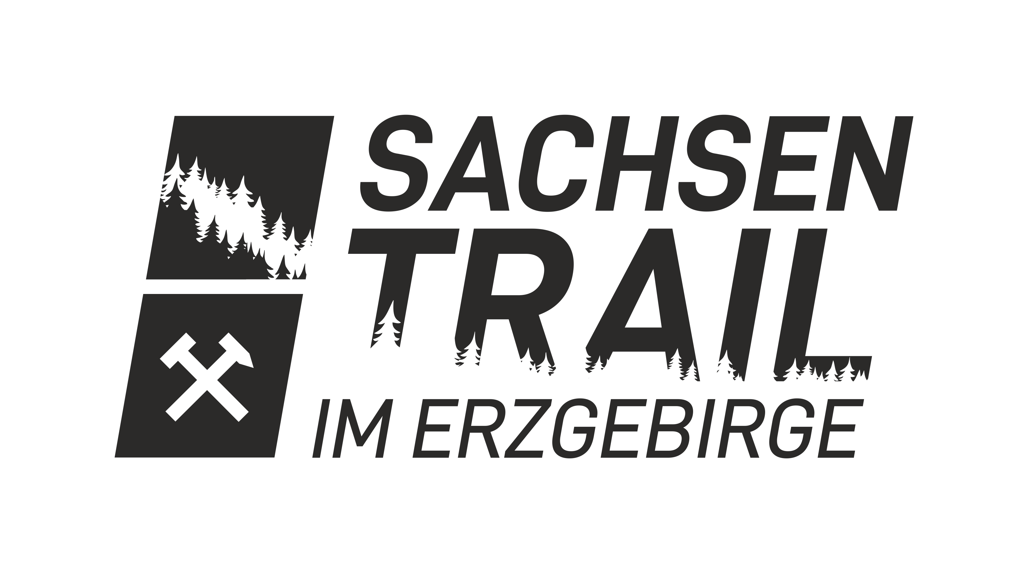 Logo von  11. SachsenTrail 